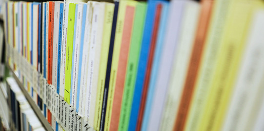 Dissertationen in der Bibliothek Bücher mit der Aufschrift Dissertation auf dem Buchrücken im Bücherregal der Bibliothek